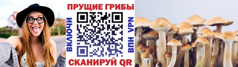 купить наркотик  MEGA ONION  Галлюциногенные грибы мицелий  Пермь 