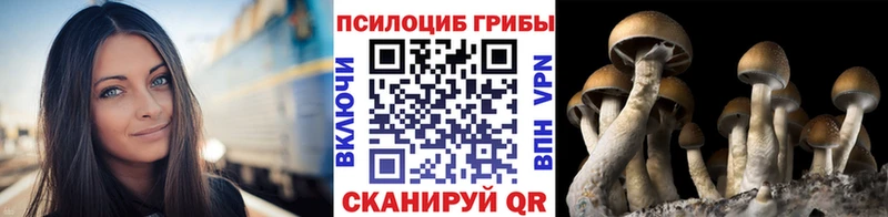 Псилоцибиновые грибы прущие грибы Пермь